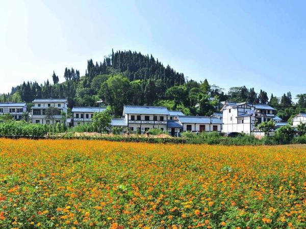 美丽乡村建设