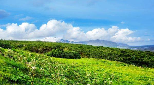 绿水青山即是金山银山