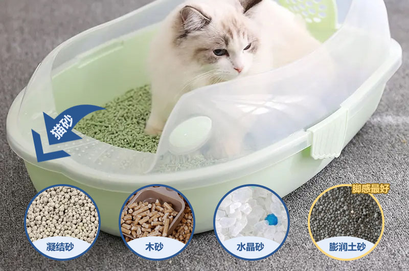 膨润土猫砂受到猫咪喜爱