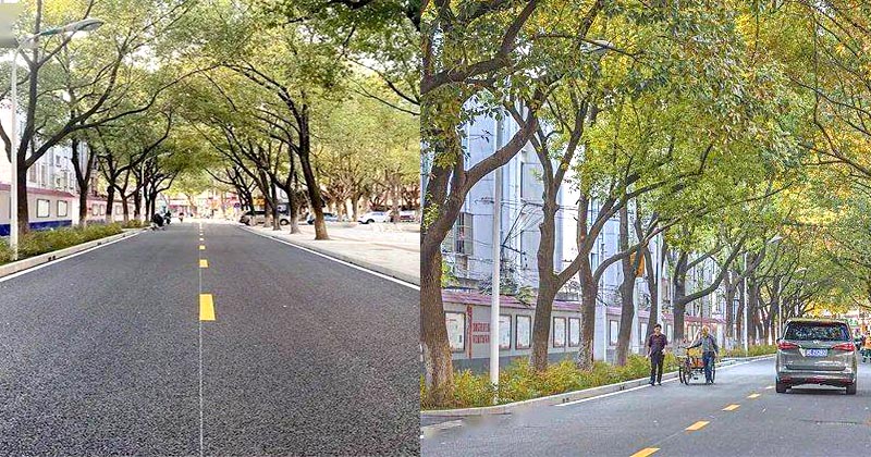 一条会呼吸的城市道路